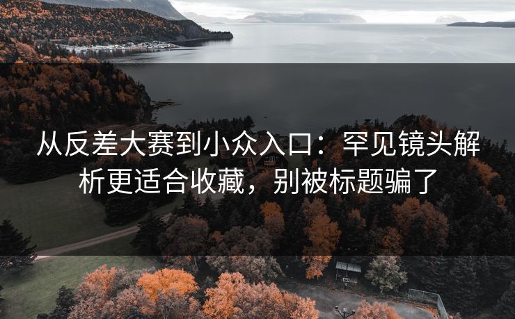 从反差大赛到小众入口：罕见镜头解析更适合收藏，别被标题骗了